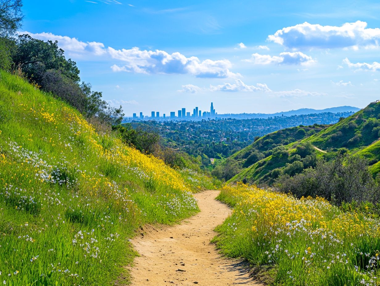 Scenic view of Wilacre Park managed by Mountains Recreation & Conservation Authority with hiking trails