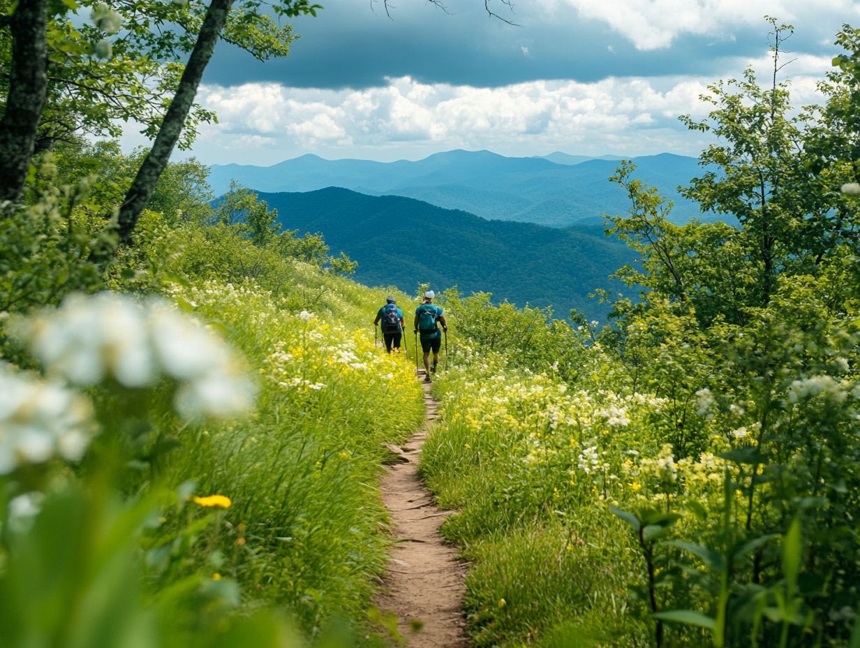 How Long Are These Trails and What Is the Difficulty Level?