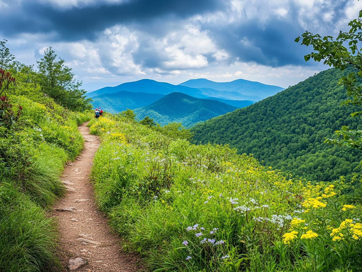 Key Takeaways about the Best Hiking Trails in the Great Smoky Mountains.