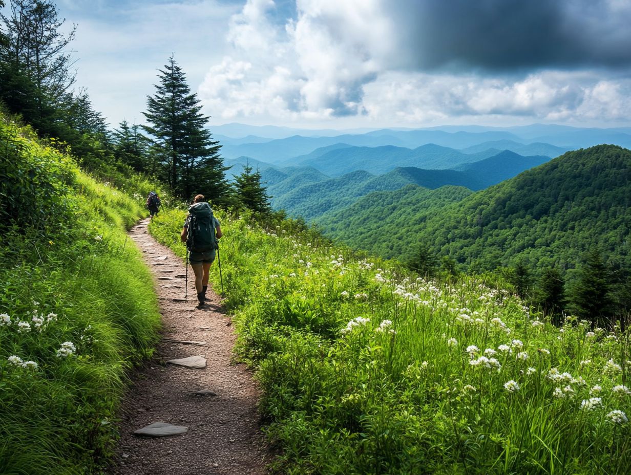 1. What are the best hiking trails in the Great Smoky Mountains?