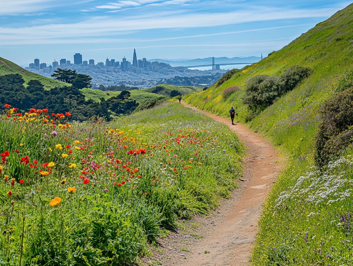 A scenic view of amenities available near hiking trails.